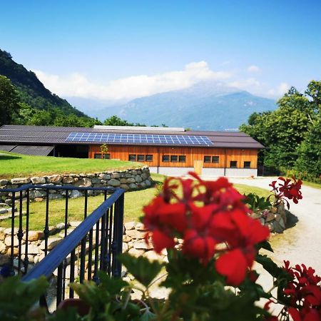 Agriturismo La Ca' D'Amelio Lessolo ภายนอก รูปภาพ