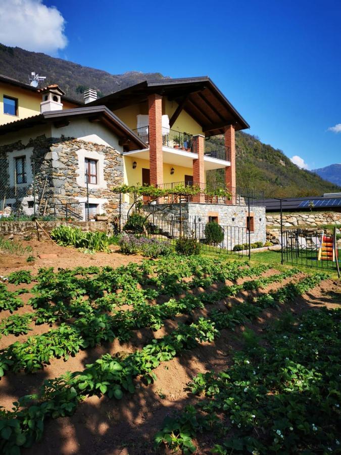 Agriturismo La Ca' D'Amelio Lessolo ภายนอก รูปภาพ