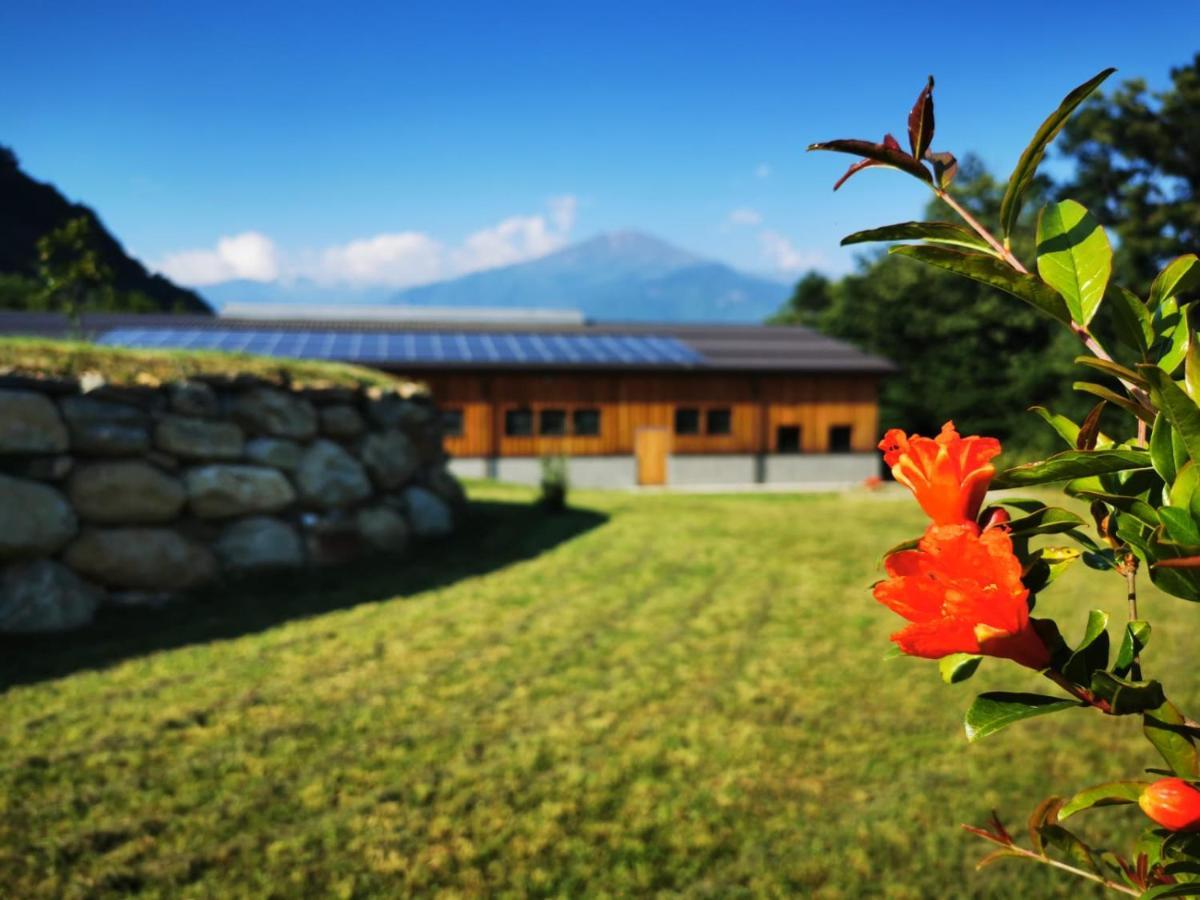 Agriturismo La Ca' D'Amelio Lessolo ภายนอก รูปภาพ